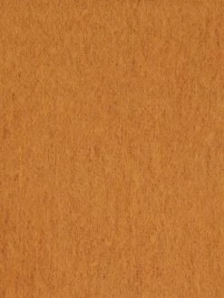 EDITED Schal Mit Fransen Modell 'Isra' - Camel -Barts Shop 9p34cl2kal4k4hpkap4l8jiha964eia56p3jik1o94rkmgq9ap9lch2d9l544hppa93kmkpn9l858gqb6co34d9ocgq30php68r66opk6dh38e1o64qj8pj56thjior56sp62o8